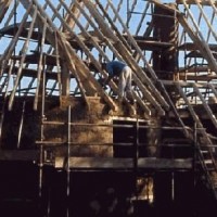 Rafters go on title=