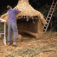 Luke Jones thatching title=