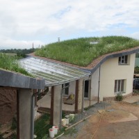 Green roof looking good title=